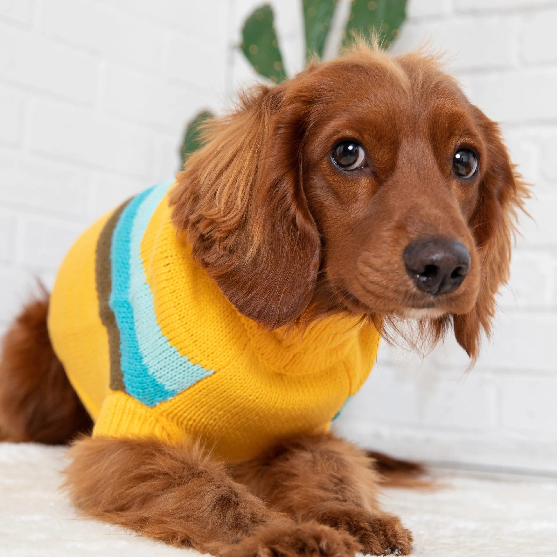 Alpine Sweater (Yellow)