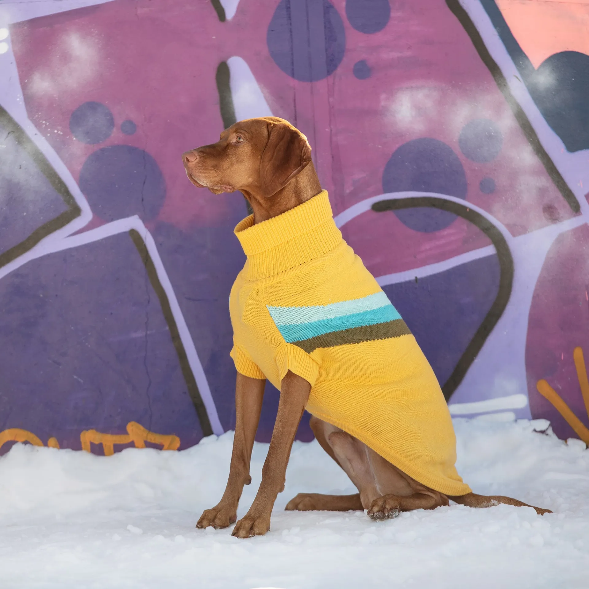 Alpine Sweater (Yellow)