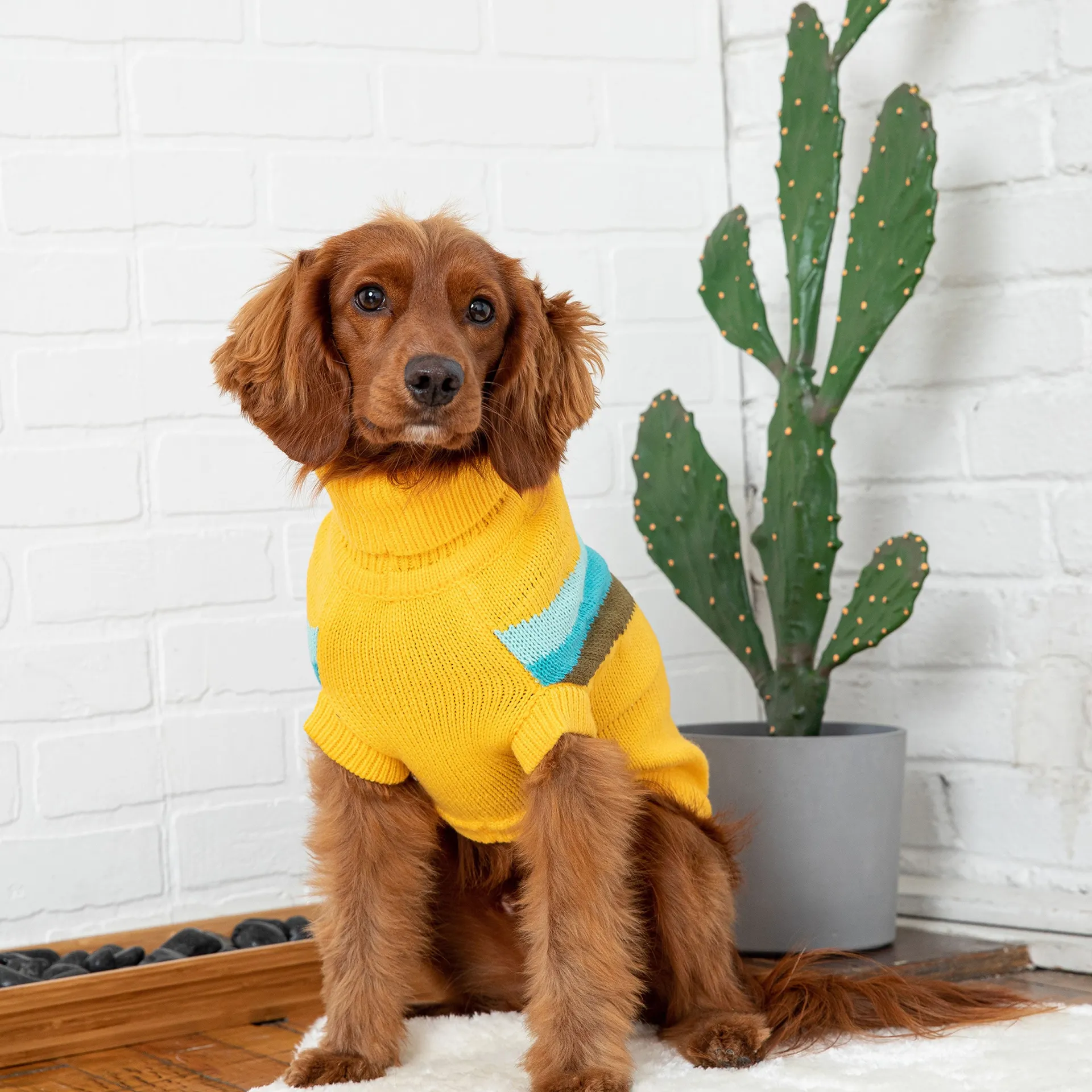 Alpine Sweater (Yellow)