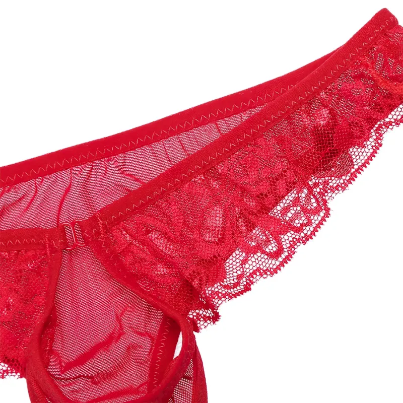 Sexy Men's Lace Transparent Underwear / See-Through Mesh Front Hole Lingerie Underpanties